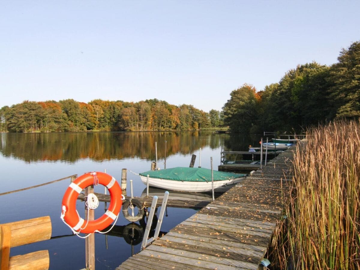 Ferienhaus Dümmer (Mecklenburg) Umgebung 40