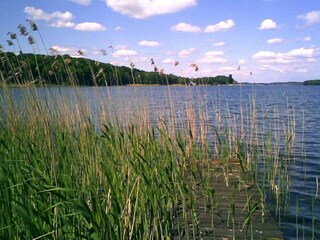 Vakantiehuis Dümmer (Mecklenburg) Omgeving 41