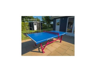 Casa per le vacanze Dümmer (Mecklenburg) Caratteristiche 33