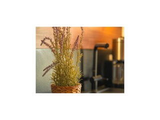 Casa per le vacanze Dümmer (Mecklenburg)  46