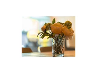 Ferienhaus Dümmer (Mecklenburg)  42