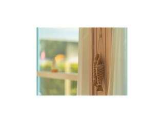 Casa per le vacanze Dümmer (Mecklenburg)  51