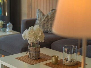 Casa per le vacanze Dümmer (Mecklenburg)  48