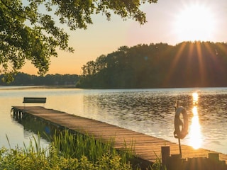 Holiday house Dümmer (Mecklenburg)  49