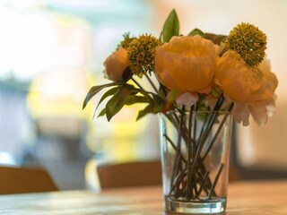 Casa per le vacanze Dümmer (Mecklenburg)  37