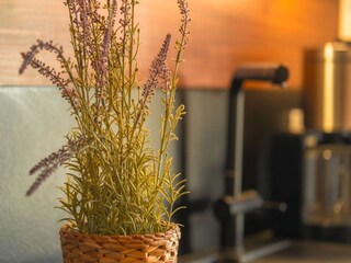 Casa per le vacanze Dümmer (Mecklenburg)  47
