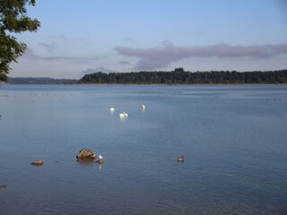 Chalet Inzell Entorno 29