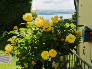 Ferienwohnung Hagnau am Bodensee Umgebung 4