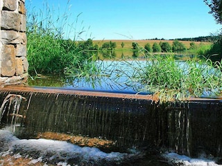 Ferienhaus Lerbach  46