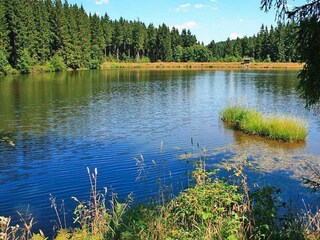 Casa de vacaciones Lerbach  47