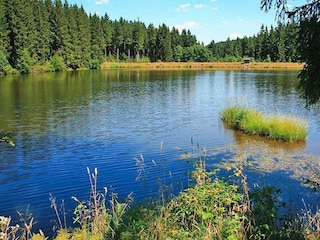 Ferienhaus Lerbach  47