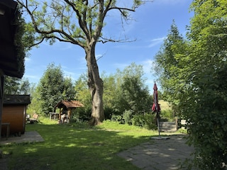 Ferienhaus Lerbach Außenaufnahme 9