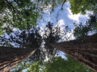 Ferienhaus Weberin Umgebung 20