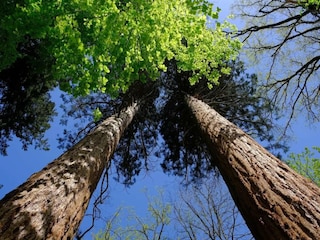 Ferienhaus Weberin Umgebung 28