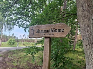 Ferienhaus Weberin Umgebung 19