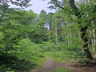 Vakantiehuis Weberin Omgeving 25