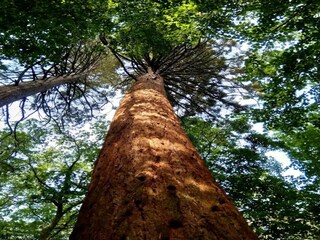 Casa per le vacanze Weberin Ambiente 31