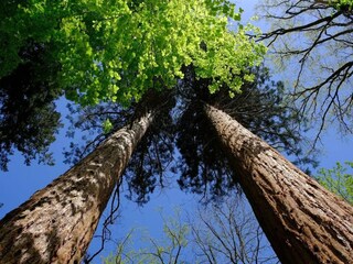 Casa per le vacanze Weberin Ambiente 34