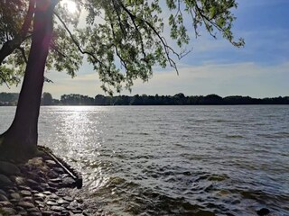 Appartement Mirow Environnement 26