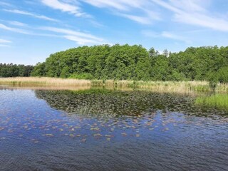 Apartamento Mirow Entorno 28