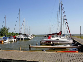 Holiday house Saal in Vorpommern Environment 12