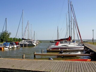 Maison de vacances Saal in Vorpommern Environnement 12