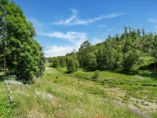 Bungalow Güntersberge Umgebung 28