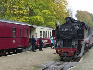 Appartement Rerik Omgeving 16