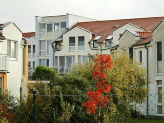 Apartment Rerik Außenaufnahme 6