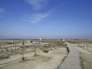 Apartment St. Peter-Ording Umgebung 13