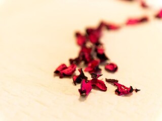 Appartement Cavtat  38