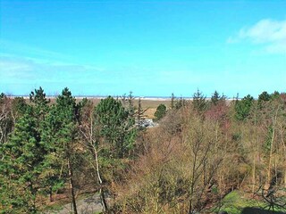 Appartement St. Peter-Ording Omgeving 10