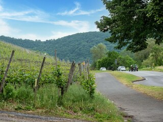Holiday house Kinheim Environment 20