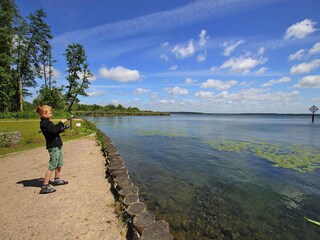 Ferienhaus Plau am See Umgebung 19
