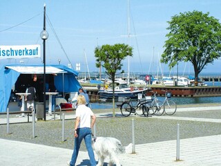 Casa de vacaciones Ribnitz-Damgarten Entorno 7