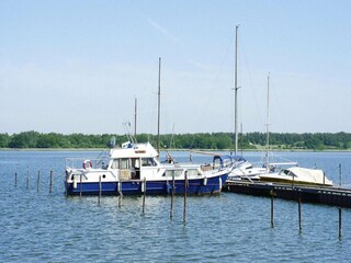 Vakantiehuis Ribnitz-Damgarten Omgeving 8