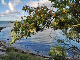 Vakantiehuis Fårevejle  33