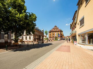 Apartamento Herbolzheim Entorno 21