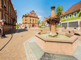 Apartamento Herbolzheim Entorno 33