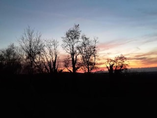 Apartment Herbolzheim Environment 25