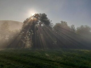 Apartamento Herbolzheim Entorno 30