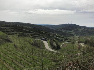 Appartamento Herbolzheim Ambiente 34