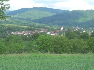 Apartamento Herbolzheim Entorno 26