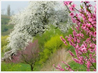 Appartamento Herbolzheim Ambiente 38