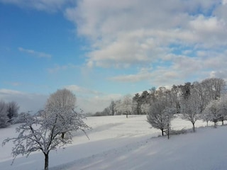 Apartment Herbolzheim Environment 32