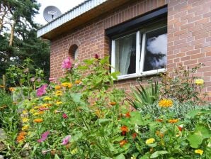 Holiday house Ferienhaus, Feldberger Seenlandschaft - Wrechen - image1