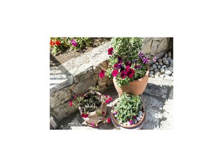 Apartment Cavtat Outdoor Recording 6