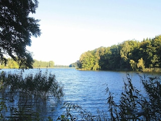 Holiday house Wrechen Environment 17