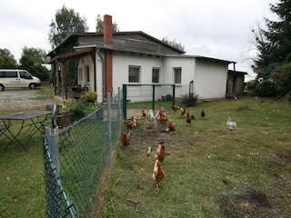 Ferienhaus Wrechen Außenaufnahme 4