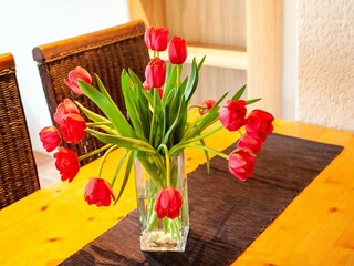 Apartamento Silvretta Nova  39